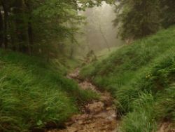 2013-06-22_Hirschhoerndl_Jochberg (181).JPG